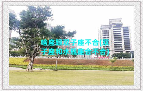 啥座跟双子座不合(双子座和水瓶座合不合)