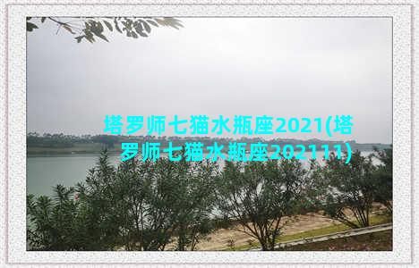 塔罗师七猫水瓶座2021(塔罗师七猫水瓶座202111)