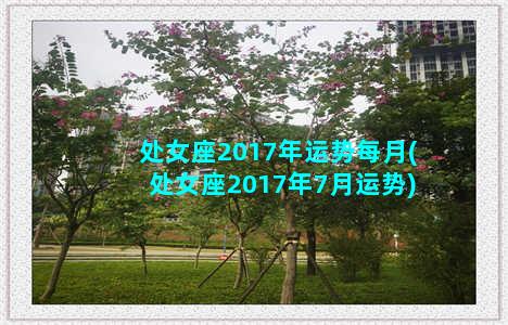 处女座2017年运势每月(处女座2017年7月运势)