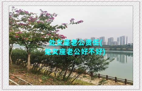 处女座老公责任(处女座老公好不好)