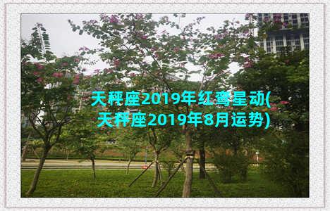 天秤座2019年红鸾星动(天秤座2019年8月运势)