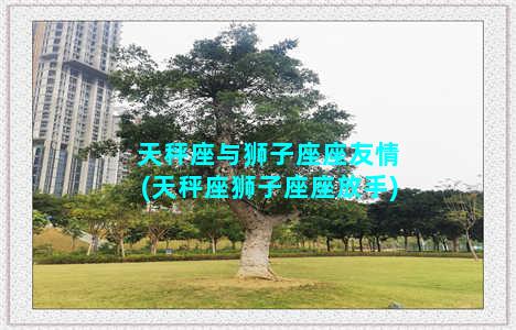 天秤座与狮子座座友情(天秤座狮子座座放手)