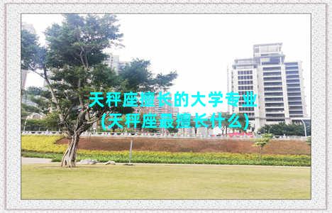 天秤座擅长的大学专业(天秤座最擅长什么)