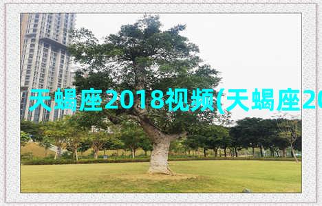 天蝎座2018视频(天蝎座2018年真爱)