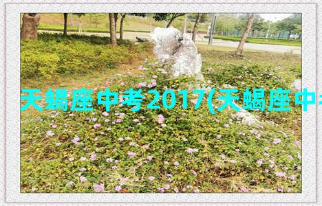 天蝎座中考2017(天蝎座中考运势2022)