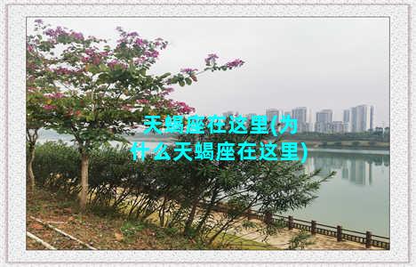 天蝎座在这里(为什么天蝎座在这里)