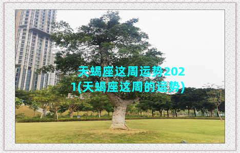 天蝎座这周运势2021(天蝎座这周的运势)