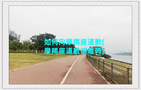 如何向摩羯座道歉(摩羯座道歉很难吗)