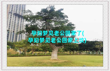 孕妇梦见老公回家了(孕妇梦见老公回家上坟)