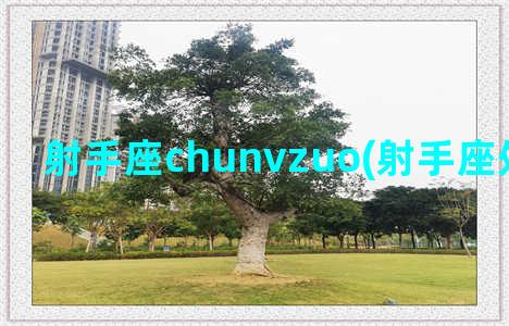 射手座chunvzuo(射手座处女座配对)