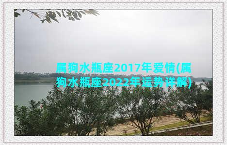 属狗水瓶座2017年爱情(属狗水瓶座2022年运势详解)