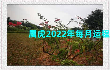 属虎2022年每月运程