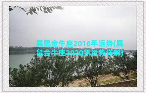 属鼠金牛座2016年运势(属鼠金牛座2020年运势详解)