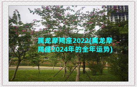 属龙摩羯座2022(属龙摩羯座2024年的全年运势)