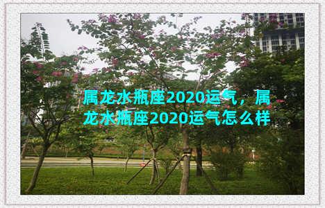 属龙水瓶座2020运气，属龙水瓶座2020运气怎么样