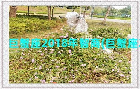 巨蟹座2018年智商(巨蟹座2018年运势)