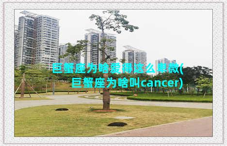 巨蟹座为啥爱得这么卑微(巨蟹座为啥叫cancer)