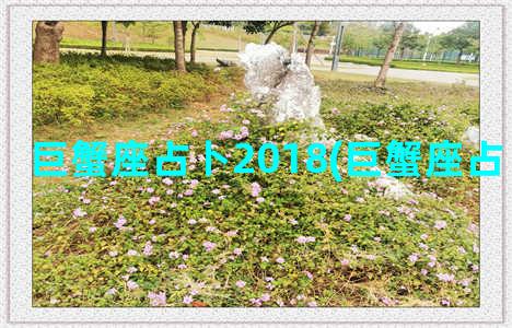 巨蟹座占卜2018(巨蟹座占卜2023婚姻)