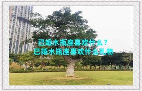 已婚水瓶座喜欢什么？已婚水瓶座喜欢什么礼物