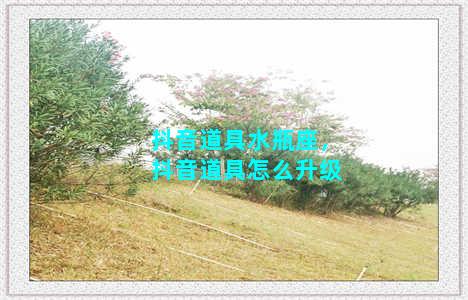 抖音道具水瓶座，抖音道具怎么升级