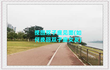 挽回双子座见面(如何挽回双子座女友)