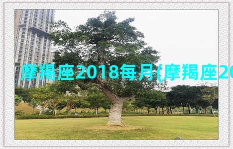 摩羯座2018每月(摩羯座2018年运势)