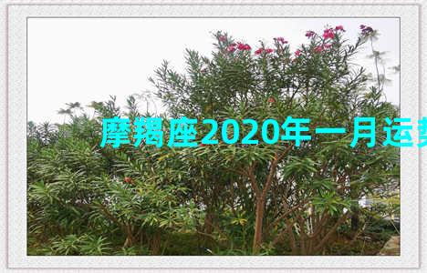 摩羯座2020年一月运势