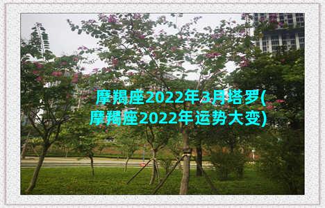 摩羯座2022年3月塔罗(摩羯座2022年运势大变)