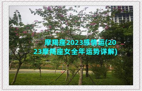 摩羯座2023感情运(2023摩羯座女全年运势详解)