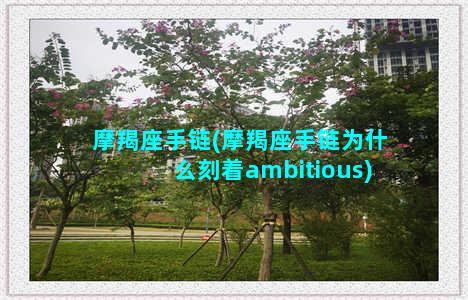 摩羯座手链(摩羯座手链为什么刻着ambitious)