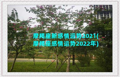 摩羯座新感情运势2021(摩羯座感情运势2022年)