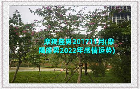 摩羯座男201711月(摩羯座男2022年感情运势)