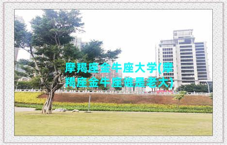 摩羯座金牛座大学(摩羯座金牛座谁是老大)