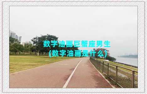 数字油画巨蟹座男生(数字油画是什么)