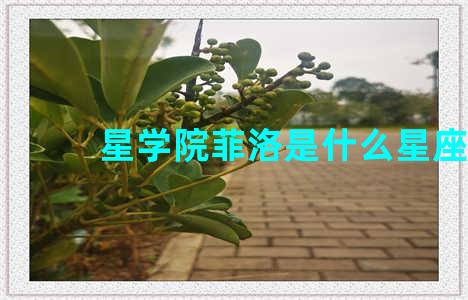 星学院菲洛是什么星座