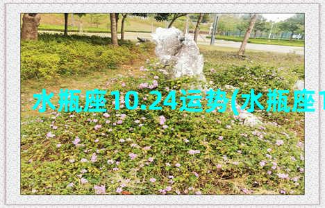 水瓶座10.24运势(水瓶座10.26运势)