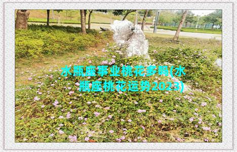 水瓶座事业桃花多吗(水瓶座桃花运势2023)