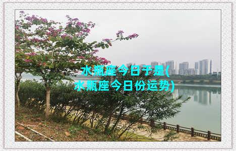 水瓶座今日于是(水瓶座今日份运势)