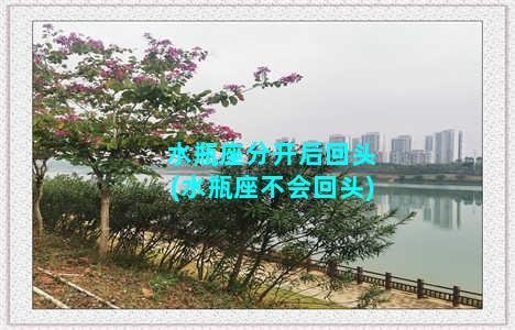 水瓶座分开后回头(水瓶座不会回头)