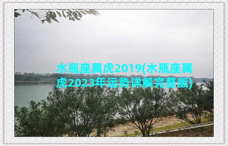 水瓶座属虎2019(水瓶座属虎2023年运势详解完整版)