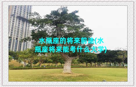 水瓶座的将来前途(水瓶座将来能考什么大学)