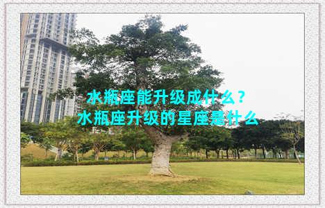 水瓶座能升级成什么？水瓶座升级的星座是什么