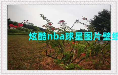 炫酷nba球星图片壁纸