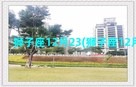 狮子座12月23(狮子座12月2日运势)