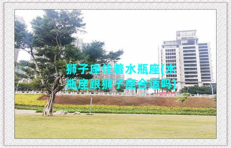 狮子座住着水瓶座(水瓶座跟狮子座合适吗)