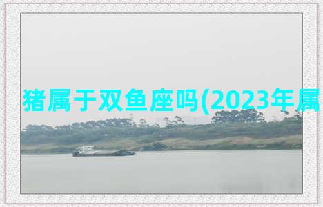 猪属于双鱼座吗(2023年属猪双鱼座)