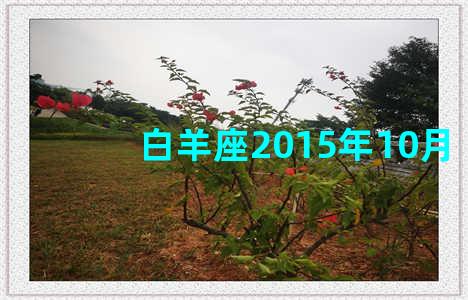 白羊座2015年10月