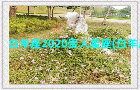 白羊座2020贵人星座(白羊座运势2020)