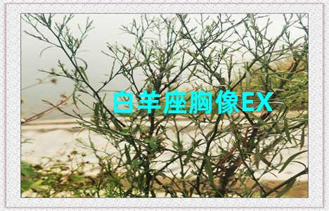 白羊座胸像EX