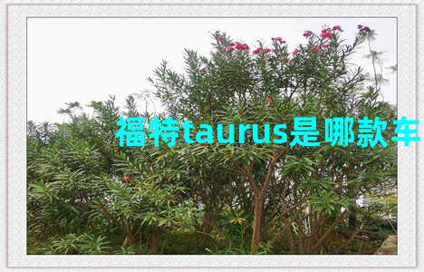 福特taurus是哪款车